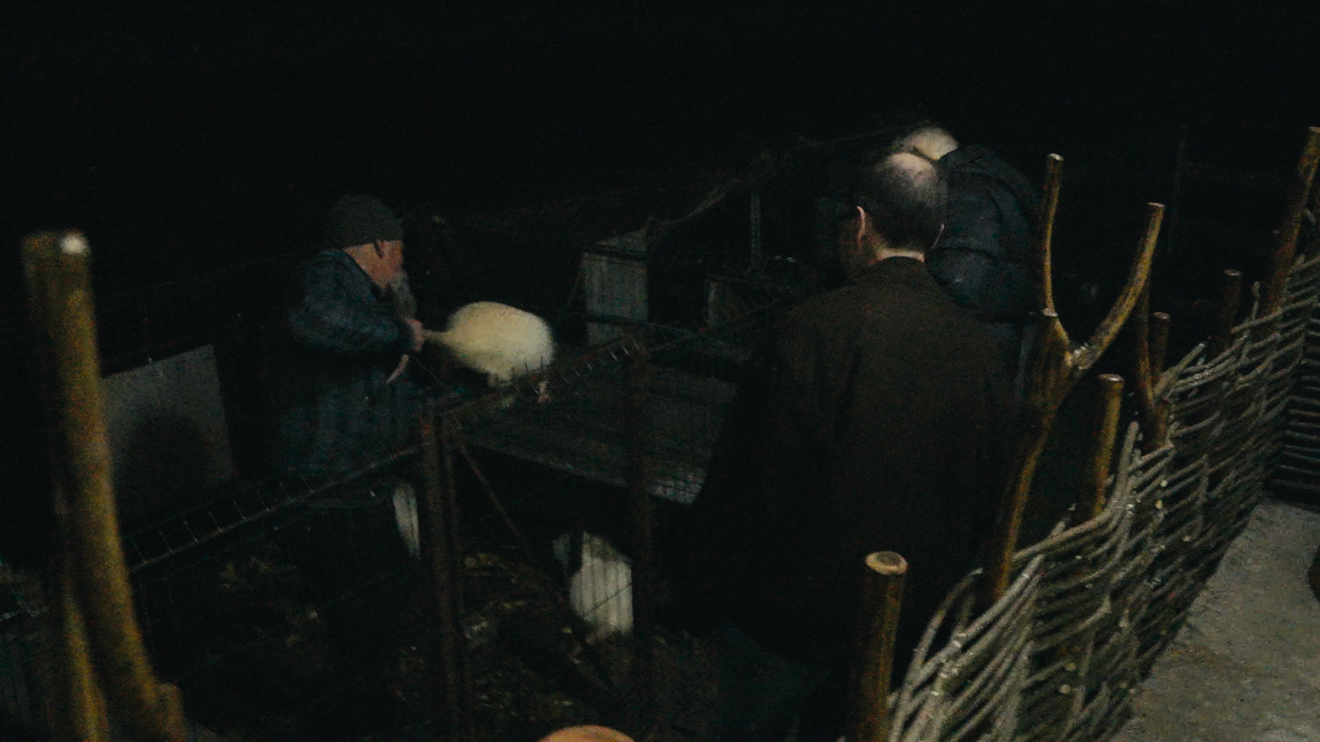 Keyframe: ZV-E1 20251026_0481